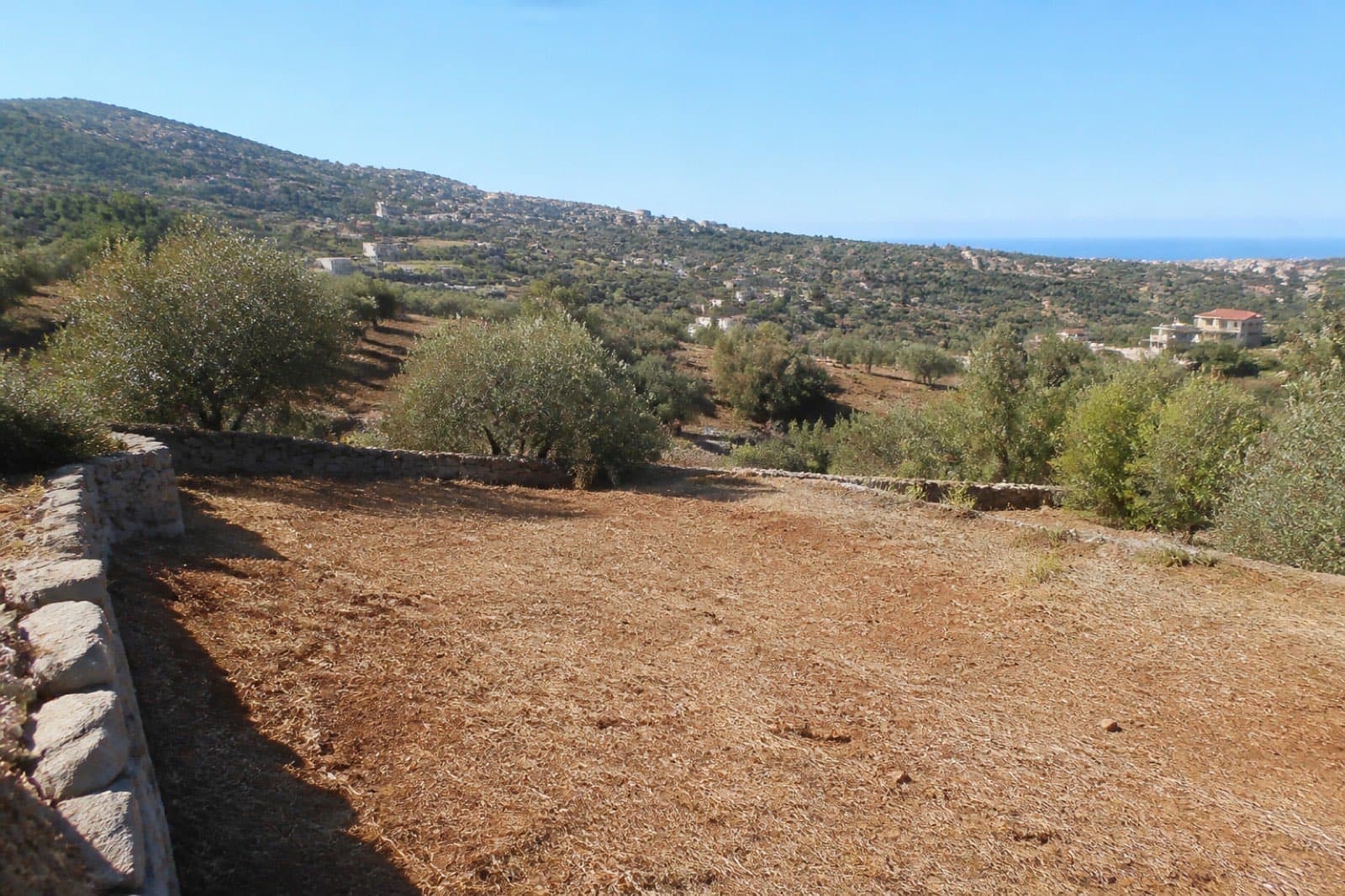 Sea-facing plot above Batroun